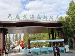 -黄海国家森林公园