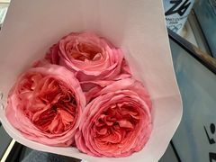 -文艺复兴百货(米兰大教堂广场店)