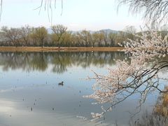 -颐和园