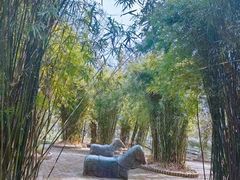 -瀛洲公园