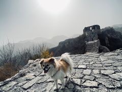 -龙泉峪长城
