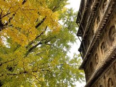 -北京石刻艺术博物馆(五塔寺)