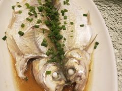 -通安客栈中餐厅·何家小馆