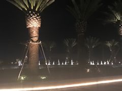 -三亚湾红树林度假世界(木棉酒店)