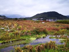 -四明湖