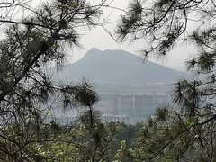-临平公园(临平街道)