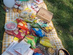 -盘龙城国家考古遗址公园