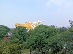 -华西村