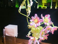 -肆海小川菜酒馆Wine Bistro (青年路店)
