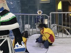 -世界之窗阿尔卑斯冰雪世界
