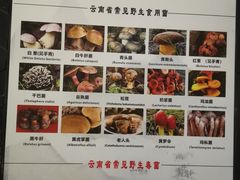 -一朵菌·野生菌探索家火锅(南亚店)