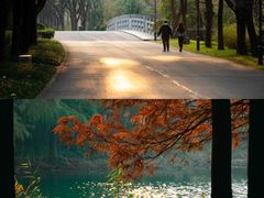 -贡湖湾湿地公园