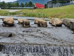 -光明小镇欢乐田园