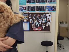 -安安宠医宠物医院·异宠·犬猫内科(岳阳分院)