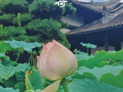-宝光寺