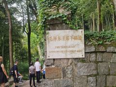 -莫干山风景区