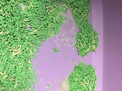 -宠颐生贝利健动物医院(谢家湾分院)