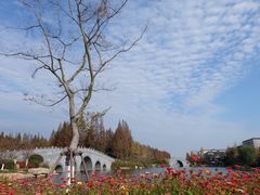 -桃花岛公园
