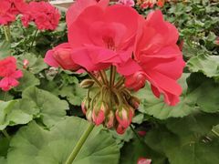 -北京益泉花园酒店