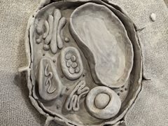 -陶语手工·拼豆·陶艺·银饰diy(宽厚里店)