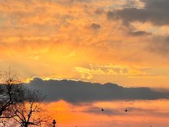 -人民防洪胜利纪念塔