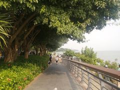 -深圳湾公园(南山区)