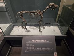 -大庆市博物馆
