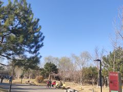 -东升文体公园