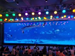 -烟台海昌鲸鲨海洋公园