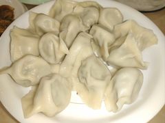 茴香精肉水饺-北方饺子王·海肠捞饭·海鲜锅(山大店)