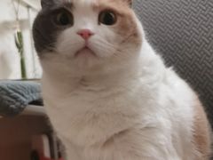 -美美宠物诊疗中心·异宠·骨科(滨江东信分院)