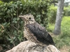 -徐记海鲜(曲江南湖店)