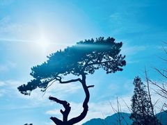 -妙峰山风景名胜区