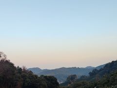 -十八棵（老龙井）御茶园(老龙井店)