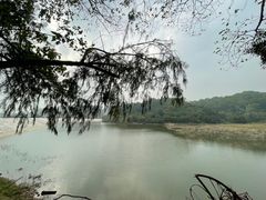 -火炉山森林公园