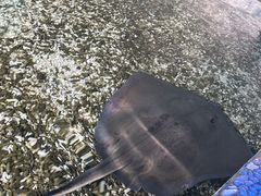 -珠海长隆海洋王国
