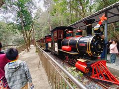 -九龙江国家森林公园