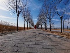 -野鸭湖国家湿地公园