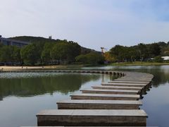 -上海佘山茂御臻品之选酒店(原佘山艾美酒店)