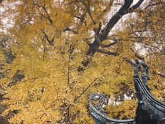 -无锡惠山寺