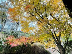 -宝界山林公园