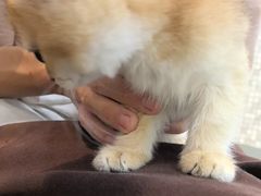 -联合动物医院(光谷诊疗中心)