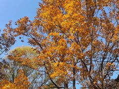 -鹫峰国家森林公园