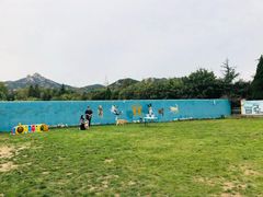 -趣玩宠物乐园寄养训犬训狗游泳池
