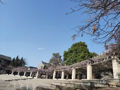 -花溪公园