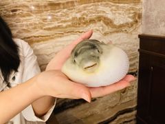 -肆月河豚·新淮扬(金融街店)