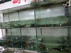 水产区-小乡小镇·传承桐庐土菜·老板亲自烧的菜