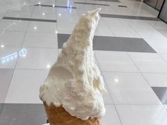 -野人先生Gelato(上海长宁龙之梦店)