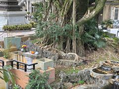 -宝莲禅寺