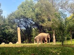 -北京野生动物园